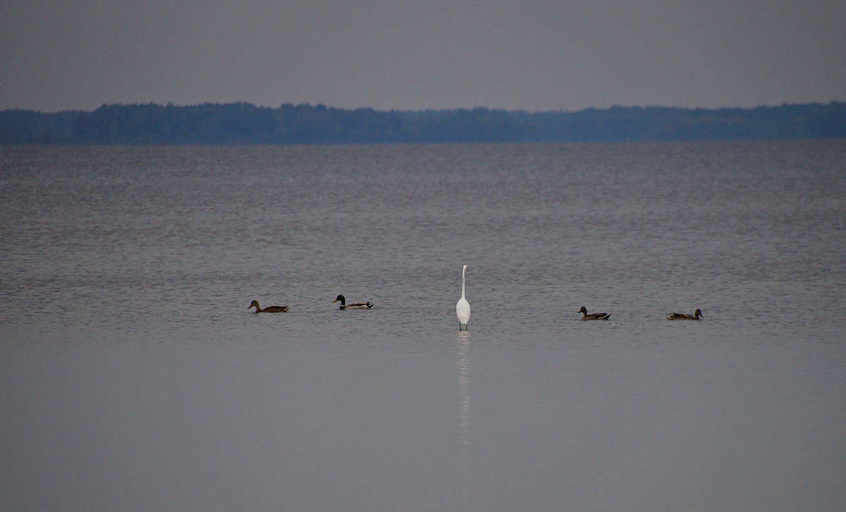 ������� ����� �������  �� PhotoGeek.ru #�������� ���