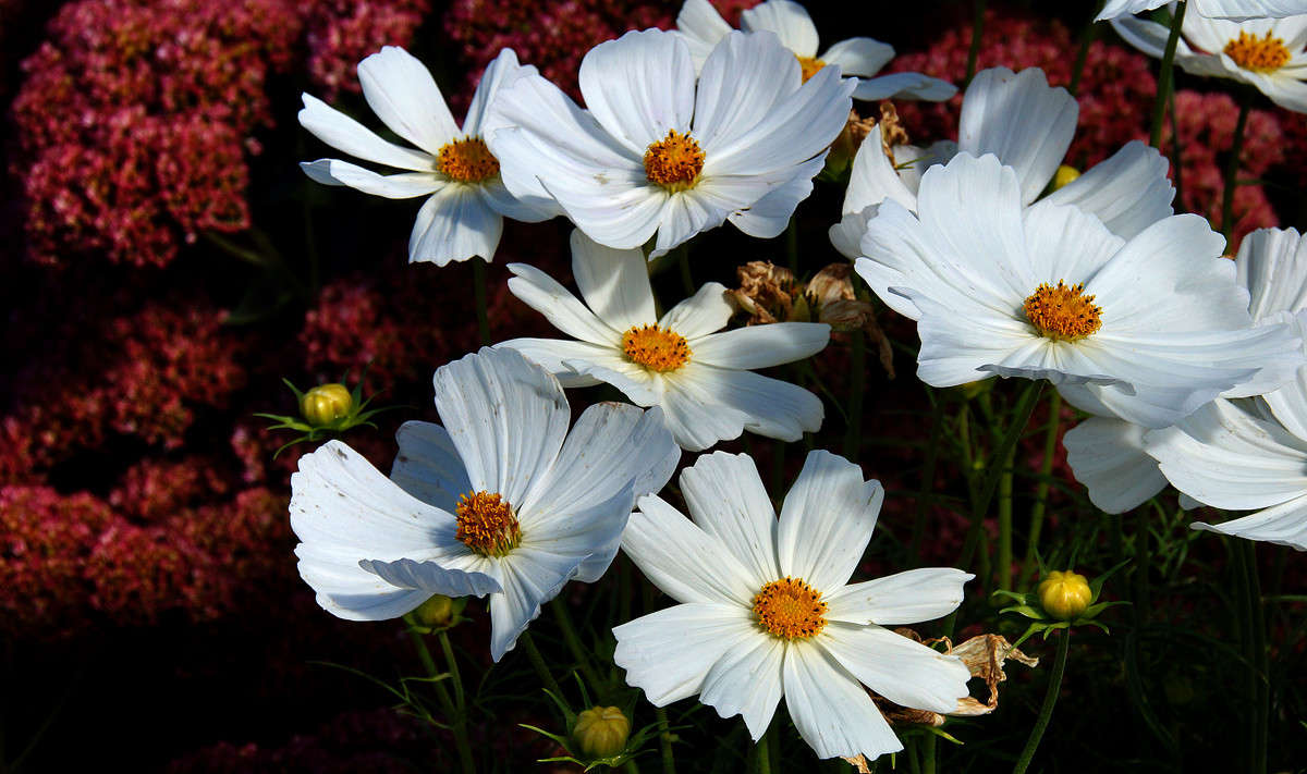 ���������� ����� �������  �� PhotoGeek.ru #������ ��� �������