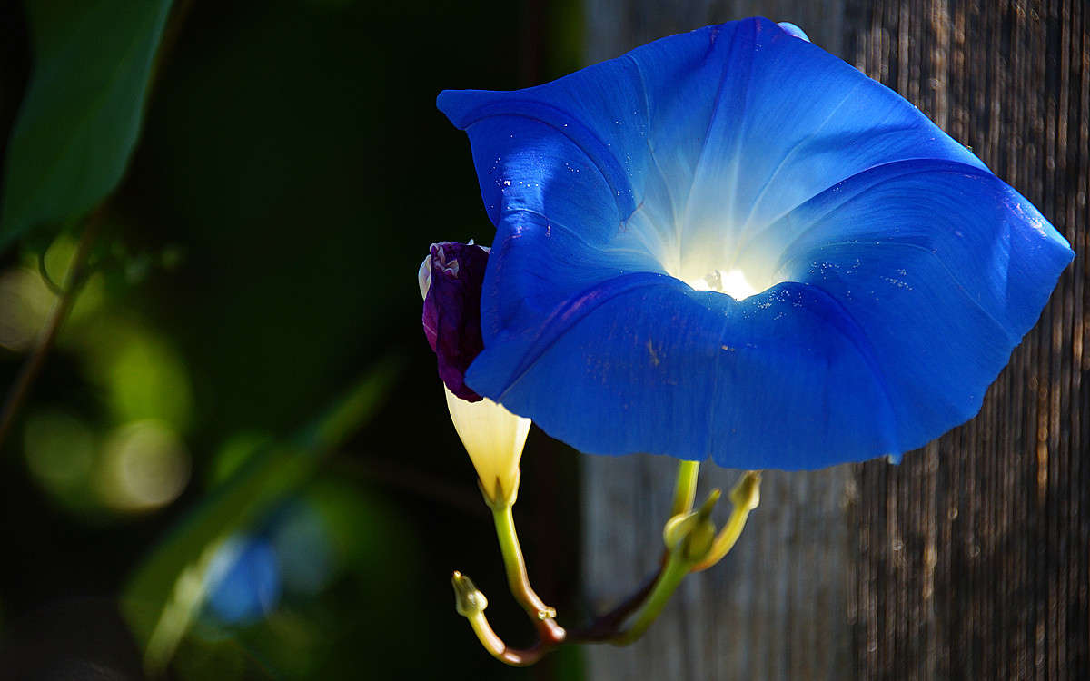 ���������� ����� �������  �� PhotoGeek.ru #������ ��� �������