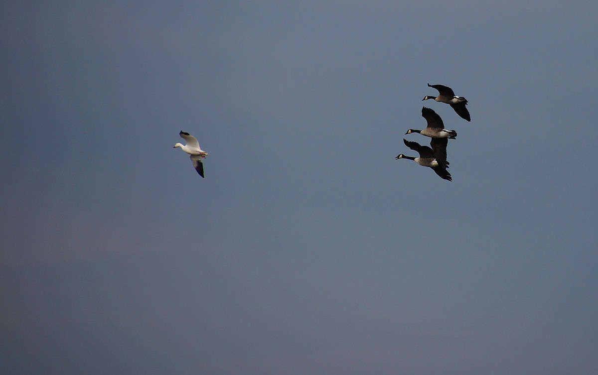 ������� �� �����! ����� �������  �� PhotoGeek.ru #�������� ���