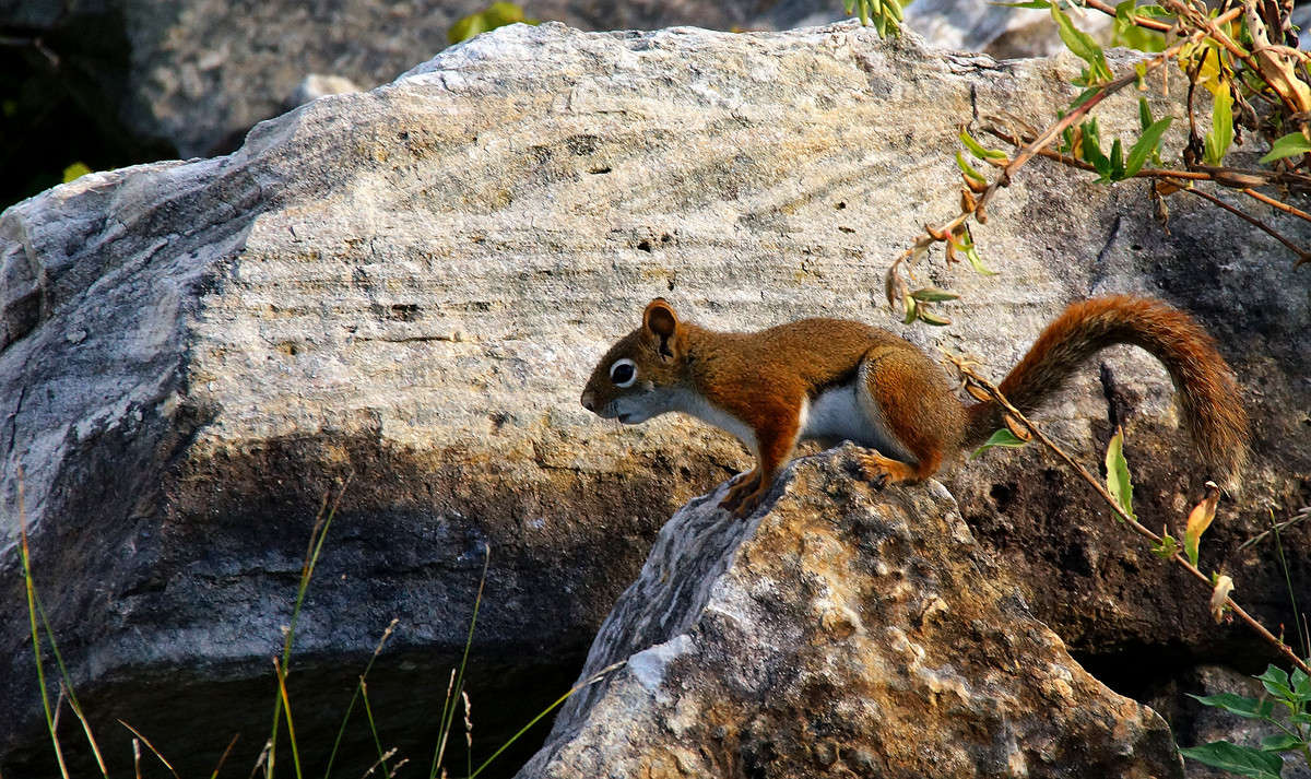 ������� ������ ����� �������  �� PhotoGeek.ru #�������� ���