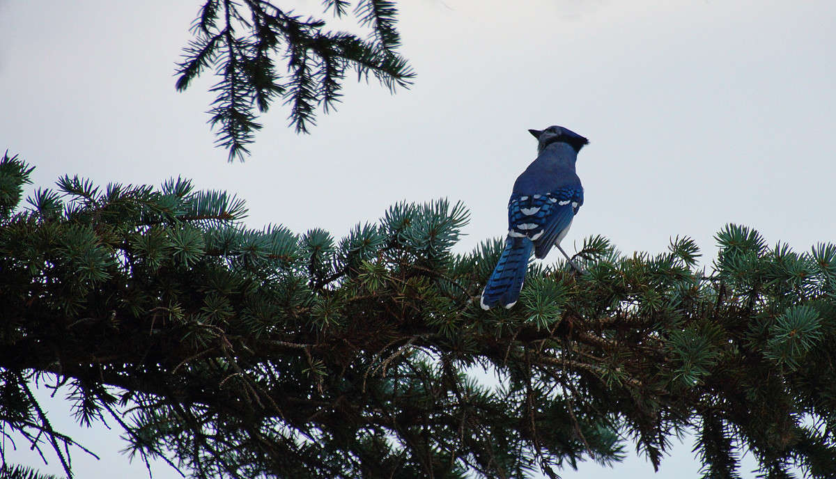 ��������� ����� �� �������� ����� �������  �� PhotoGeek.ru #�������� ���