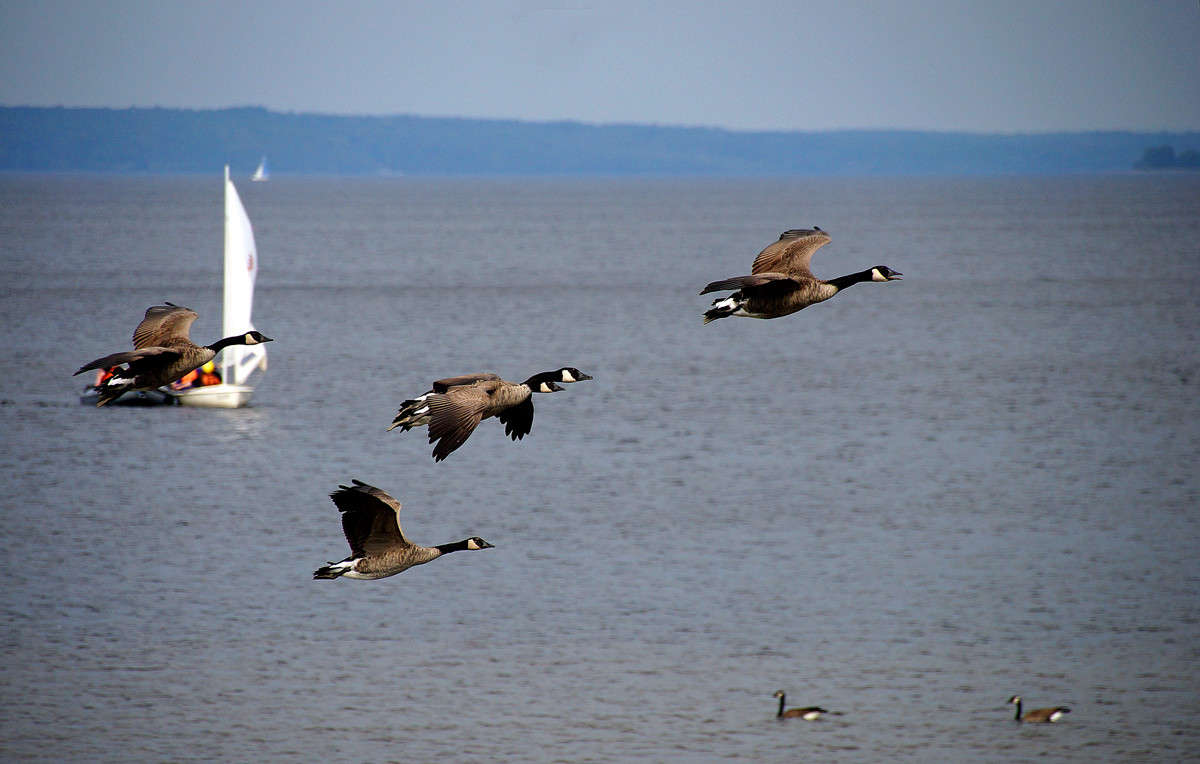 � ������������ ����� ��������� ����� �������  �� PhotoGeek.ru #�������� ��� #������ ��� �������