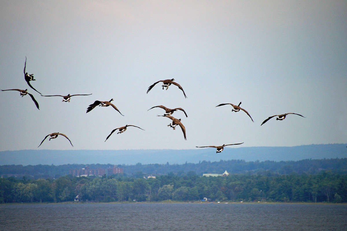 ������� ���������� ����� �������  �� PhotoGeek.ru #�������� ���