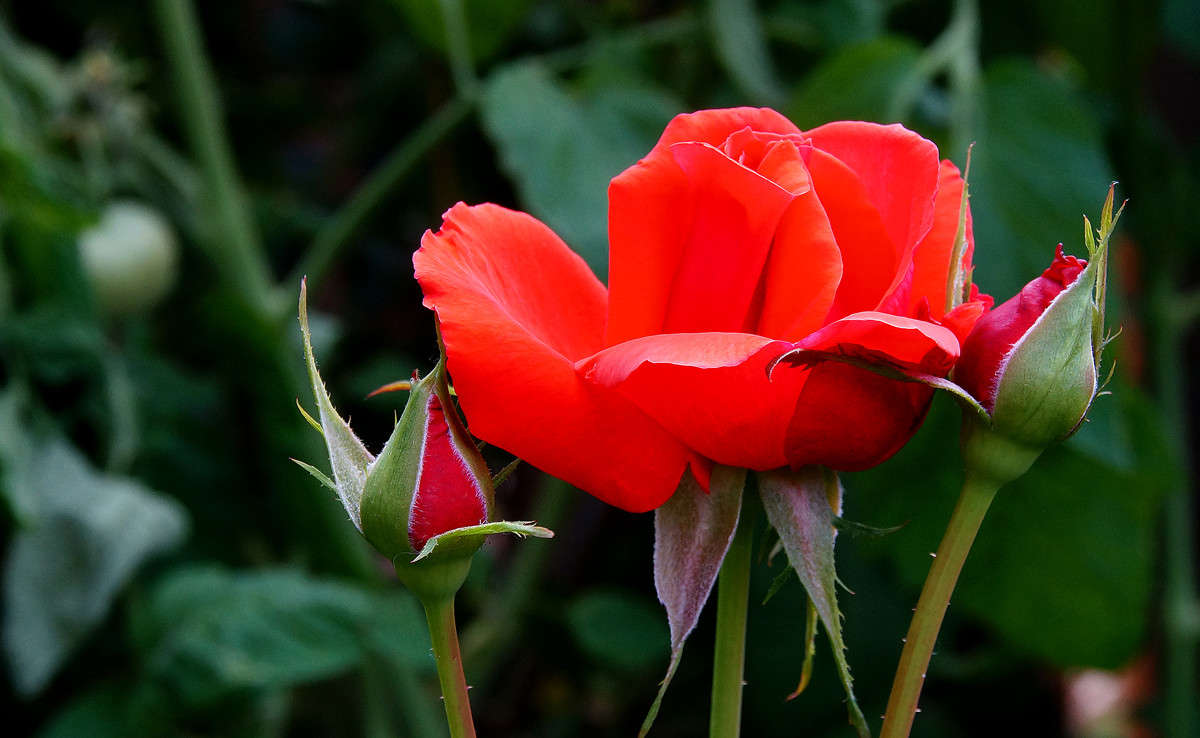 ��������� ����� �������  �� PhotoGeek.ru #������ ��� �������