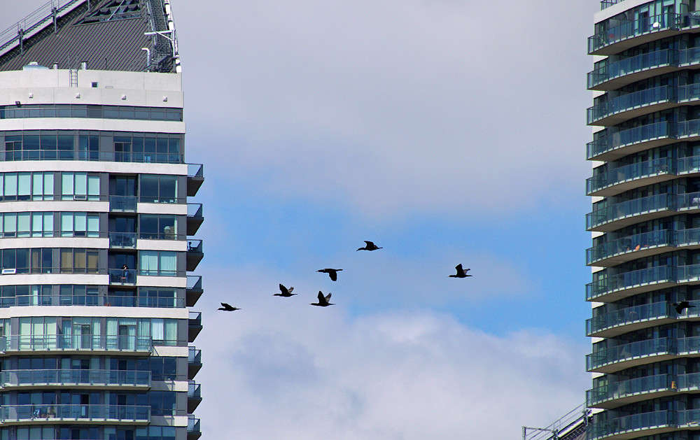 �������� ��������� ����� �������  �� PhotoGeek.ru #�������� ���