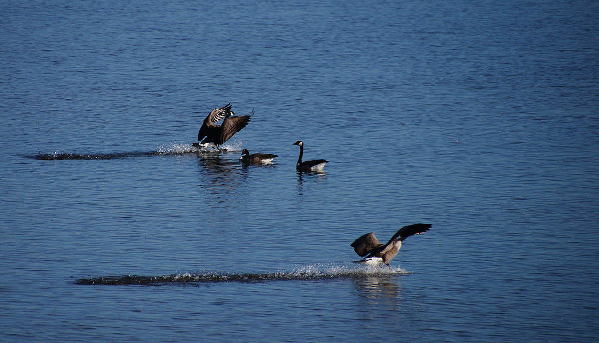 �������� ������ ����� �������  �� PhotoGeek.ru #�������� ���