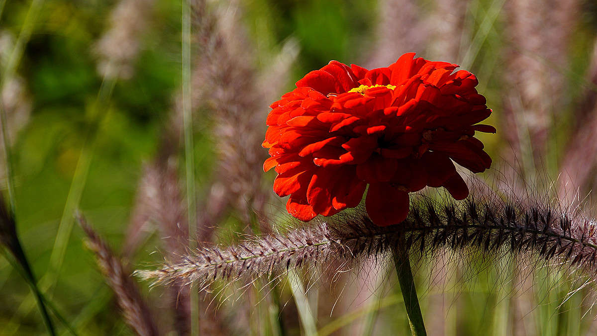 ������ ������� ����� �������  �� PhotoGeek.ru #������ ��� �������