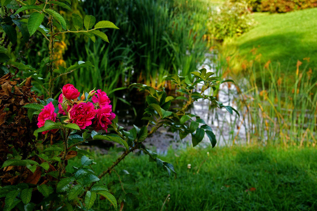 ��������� ����� �������  �� PhotoGeek.ru #������ ��� �������