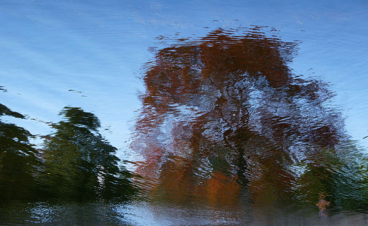 ��������� �� �� �����? ����� �������  �� PhotoGeek.ru #�������� ����������