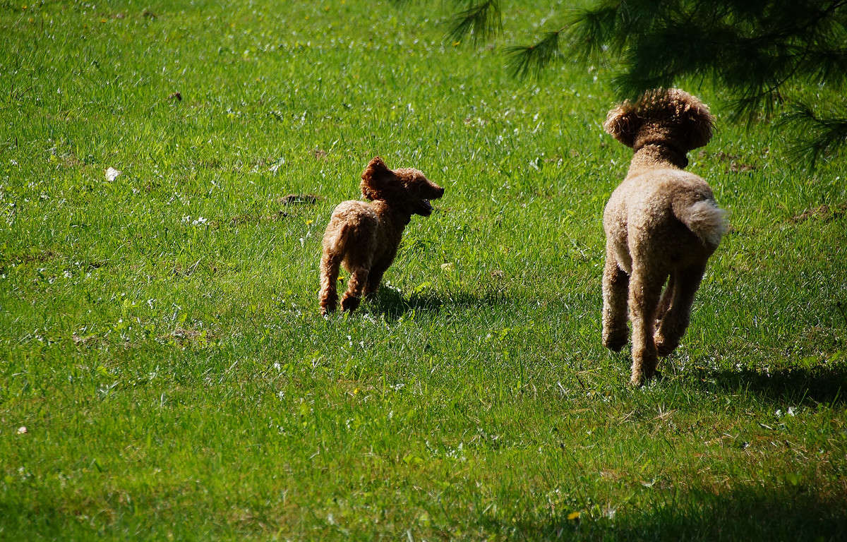 ���� � ����� ����� �������  �� PhotoGeek.ru #�������� ���