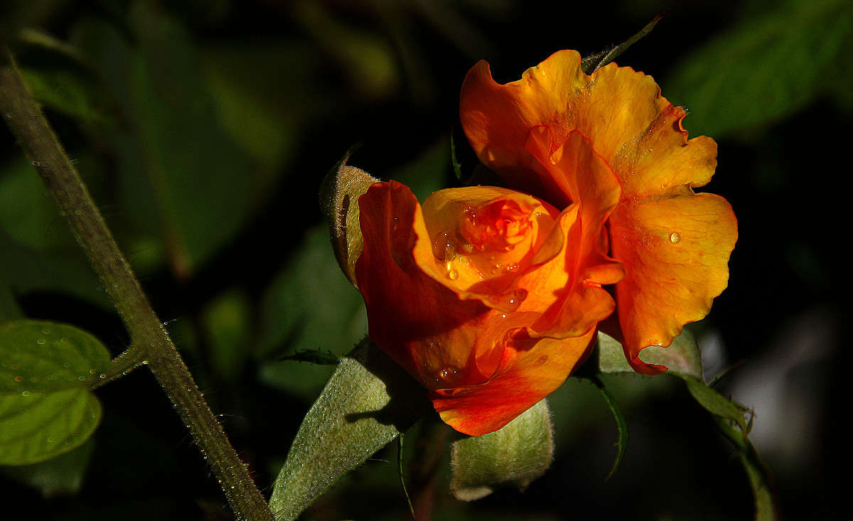 C �������� ����� �������  �� PhotoGeek.ru #������ ��� �������