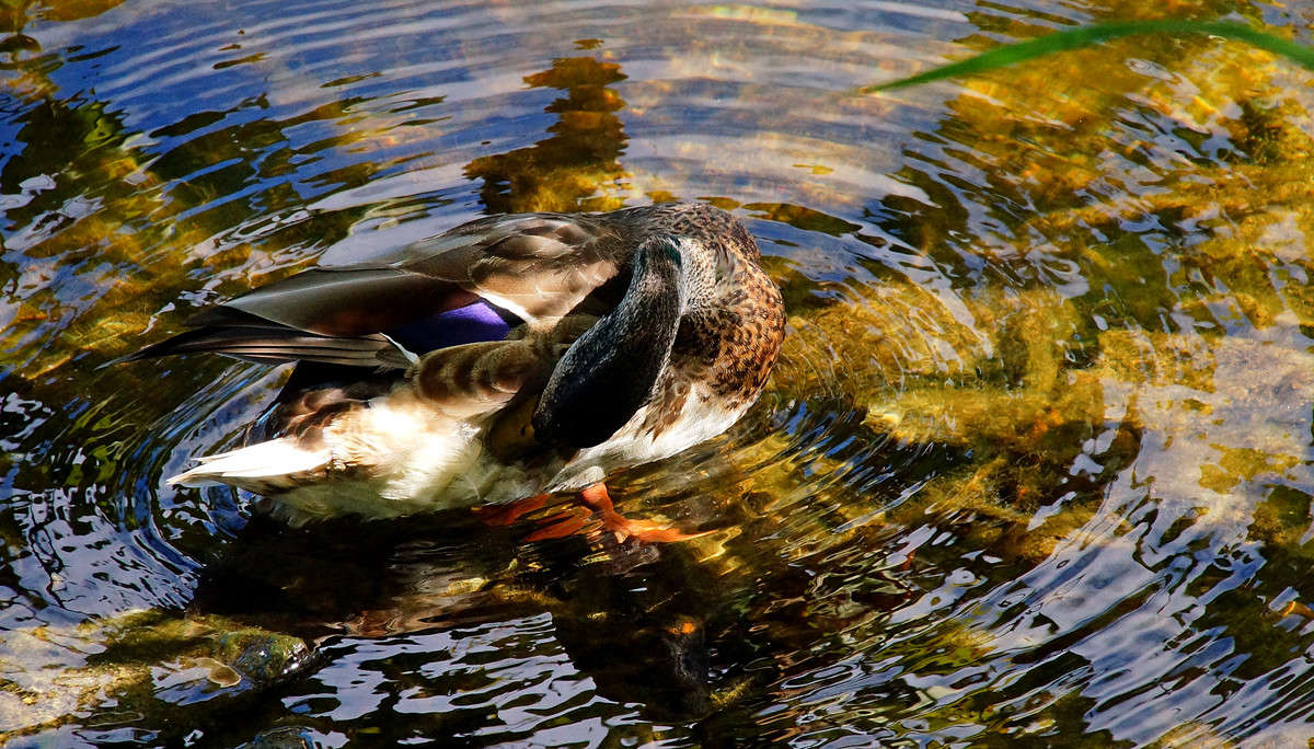 ������ �� ����? ����� �������  �� PhotoGeek.ru #�������� ���