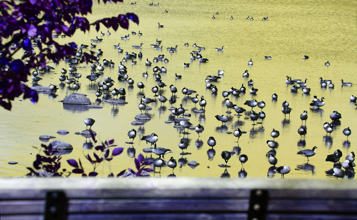 ���� ����� �������  �� PhotoGeek.ru #�������� ���