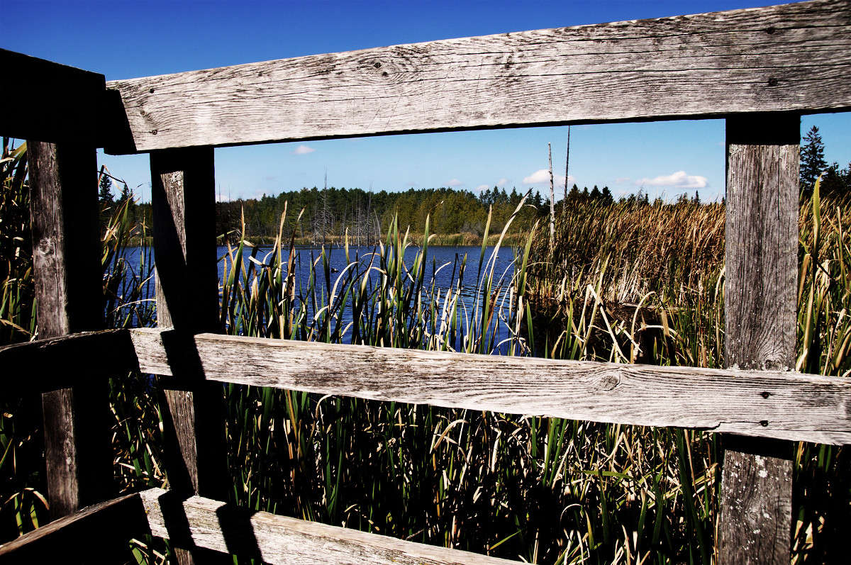 ������� ����� �������  �� PhotoGeek.ru #������ ��� �������