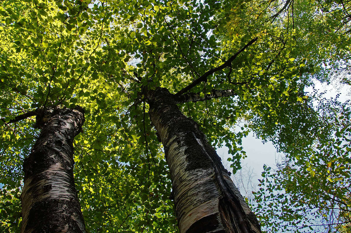 ���� ������� ������ ����� �������  �� PhotoGeek.ru #������ ��� �������