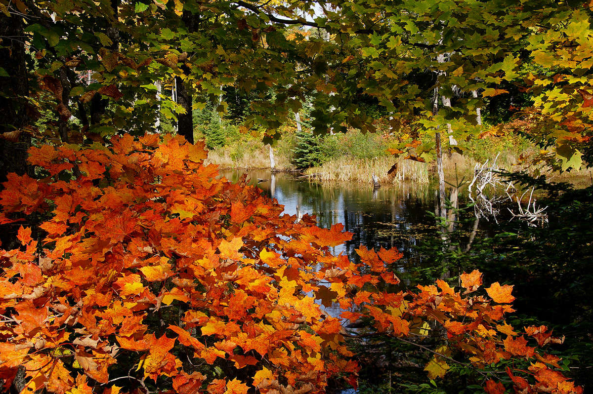 ���� �� ������ ����� �������  �� PhotoGeek.ru #������ ��� �������