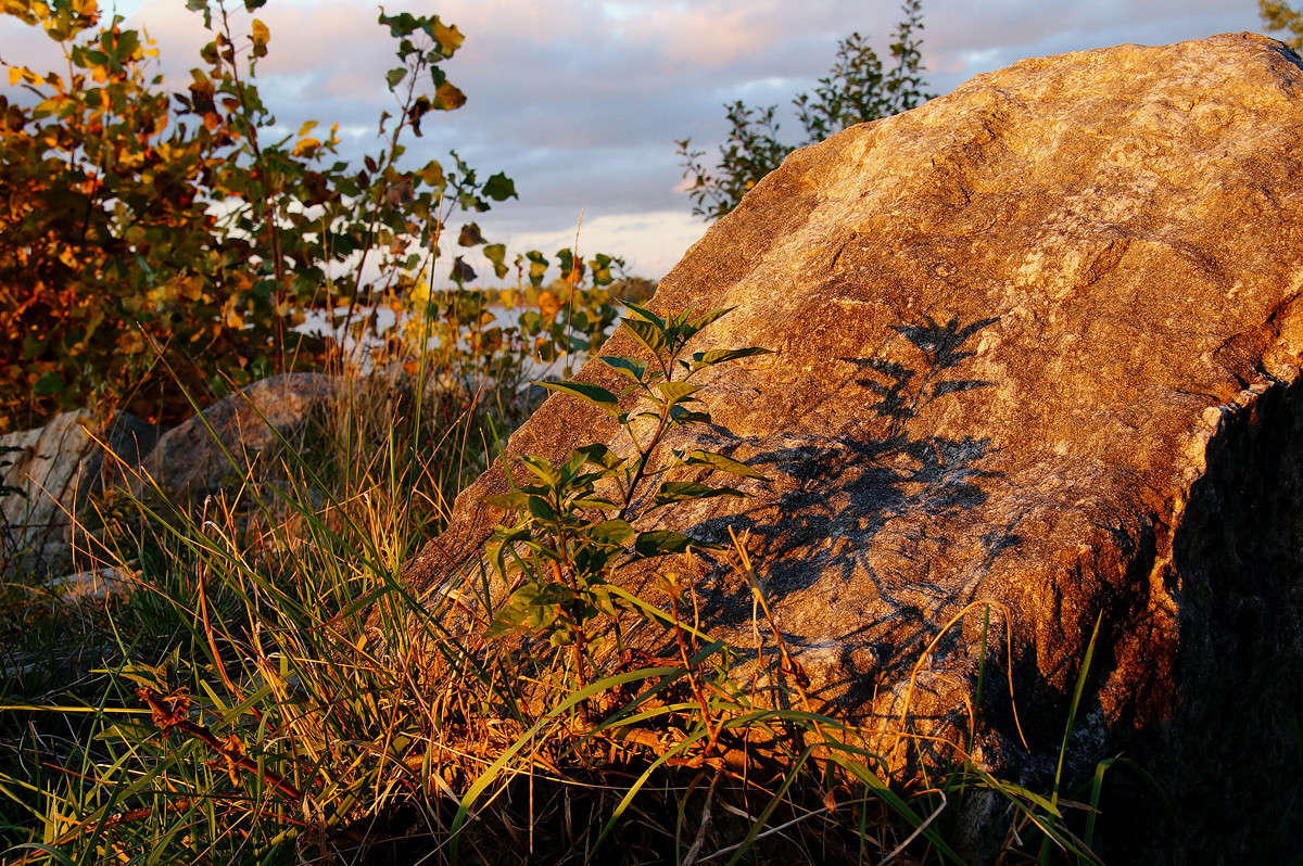 ��������� ����� �������  �� PhotoGeek.ru #������ ��� �������