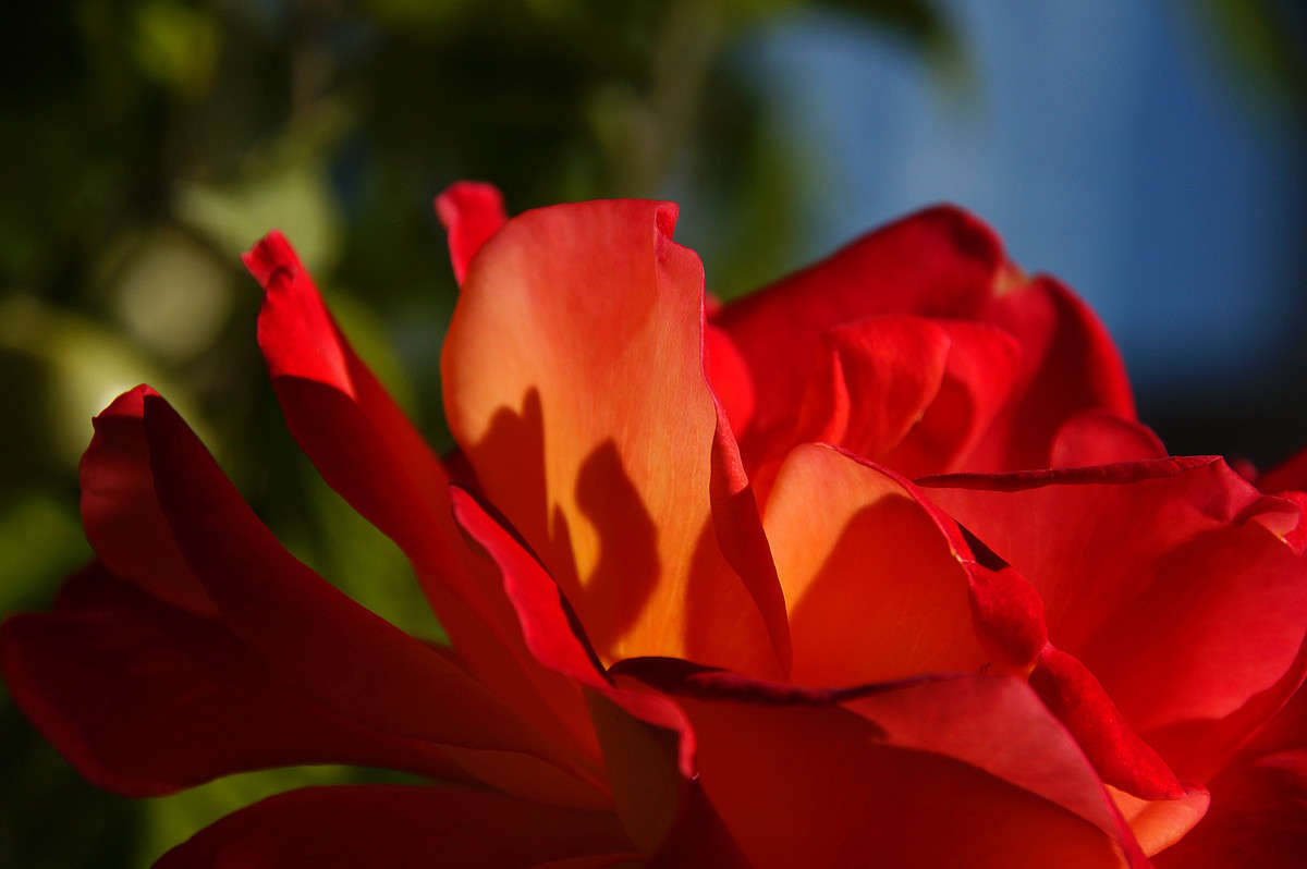 ������� ����� �������  �� PhotoGeek.ru #������ ��� �������