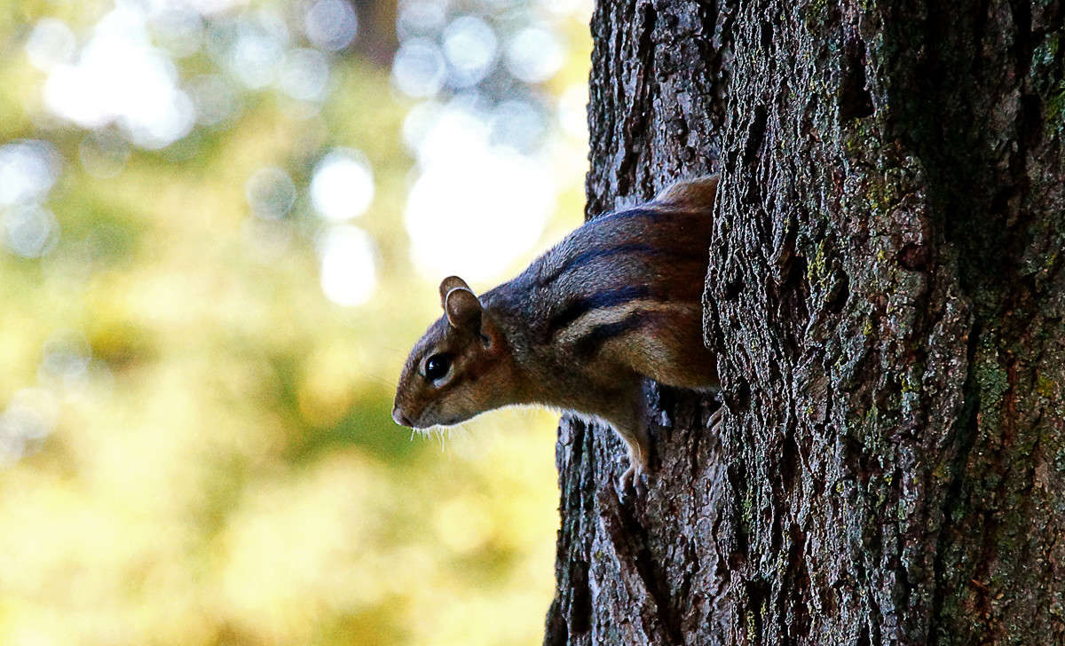 ��������� ����� ����� �������  �� PhotoGeek.ru #�������� ���