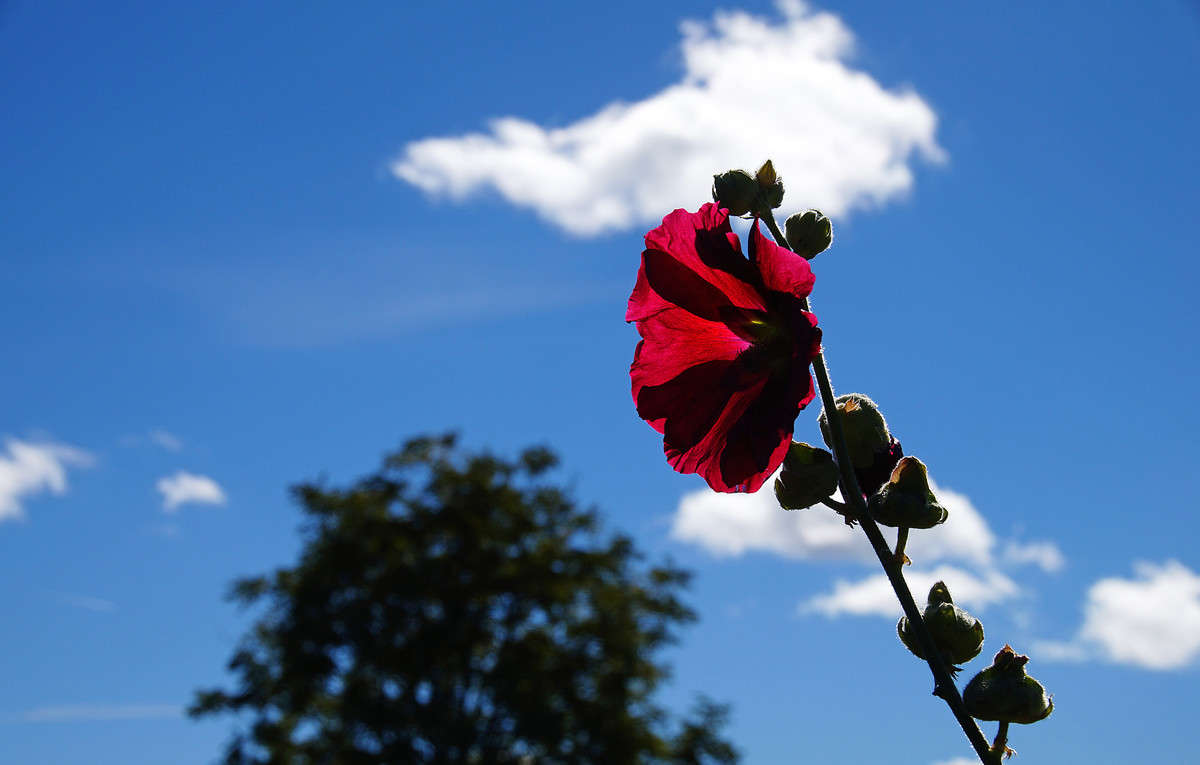 � ������ ����� ����� �������  �� PhotoGeek.ru #������ ��� �������