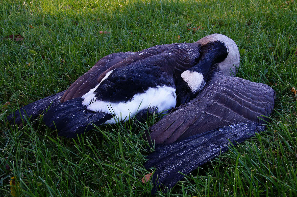 ������ ����� ����� �������  �� PhotoGeek.ru #�������� ���