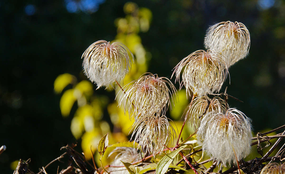 ������ ������ ����� �������  �� PhotoGeek.ru #������ ��� �������