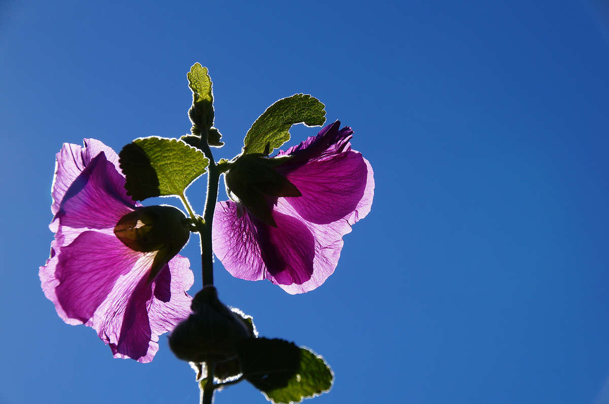 �������� ����� �������  �� PhotoGeek.ru #������ ��� �������