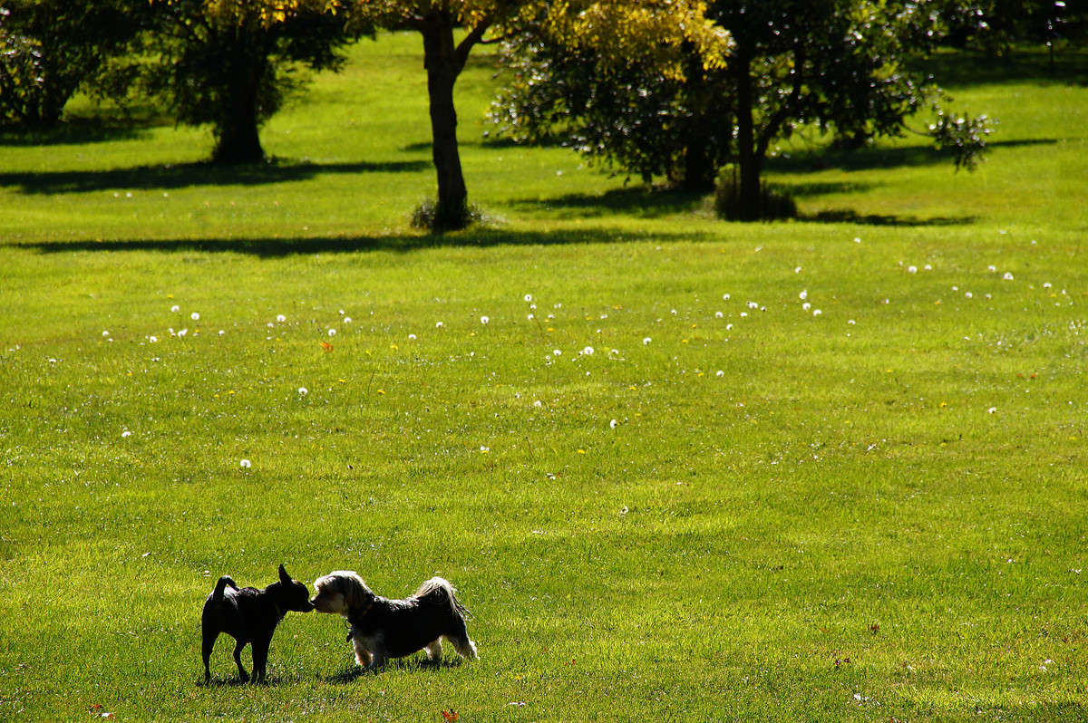 ������� ����� �������  �� PhotoGeek.ru #�������� ���