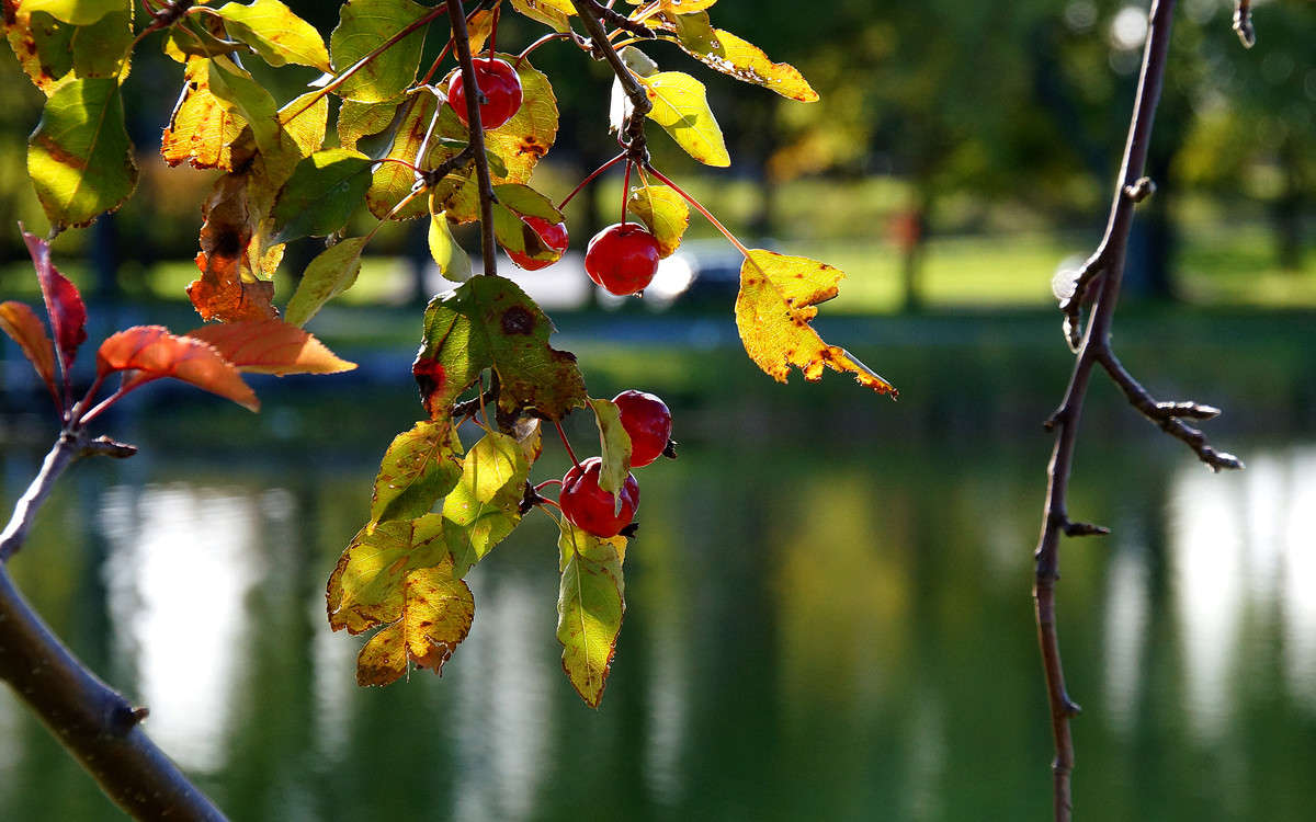 ������� ������� ����� �������  �� PhotoGeek.ru #������ ��� �������