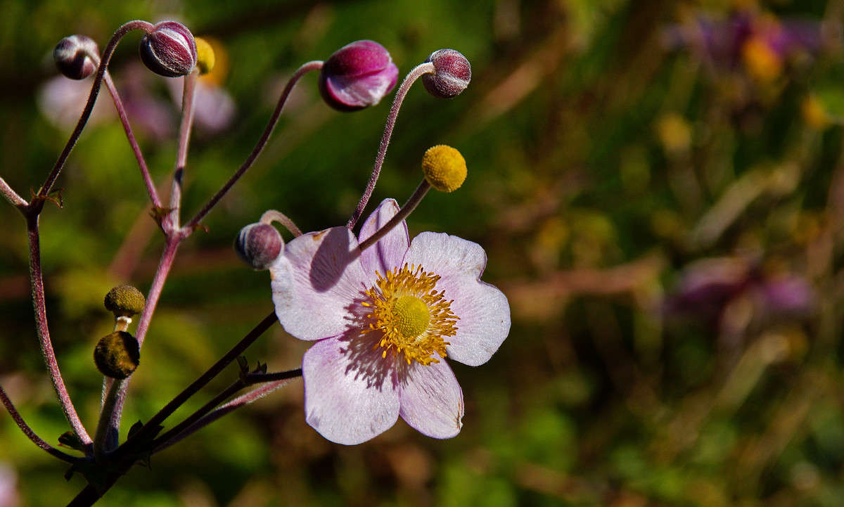 ������� ����� �������  �� PhotoGeek.ru #������ ��� �������
