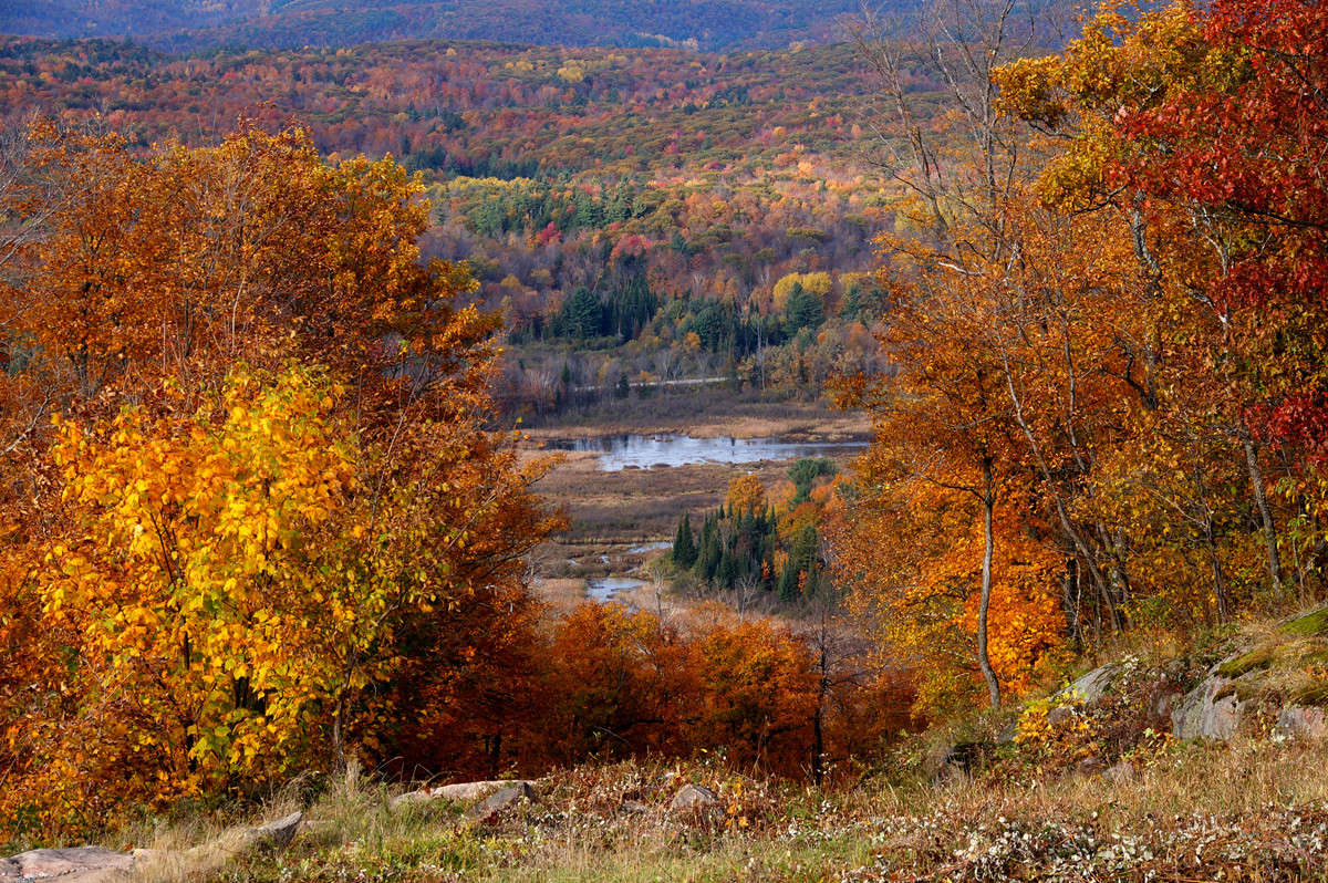 ����� ������ ����� �������  �� PhotoGeek.ru #������ ��� �������