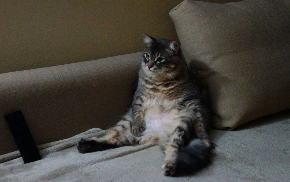 � �������� ����� �������  �� PhotoGeek.ru #�������� ���