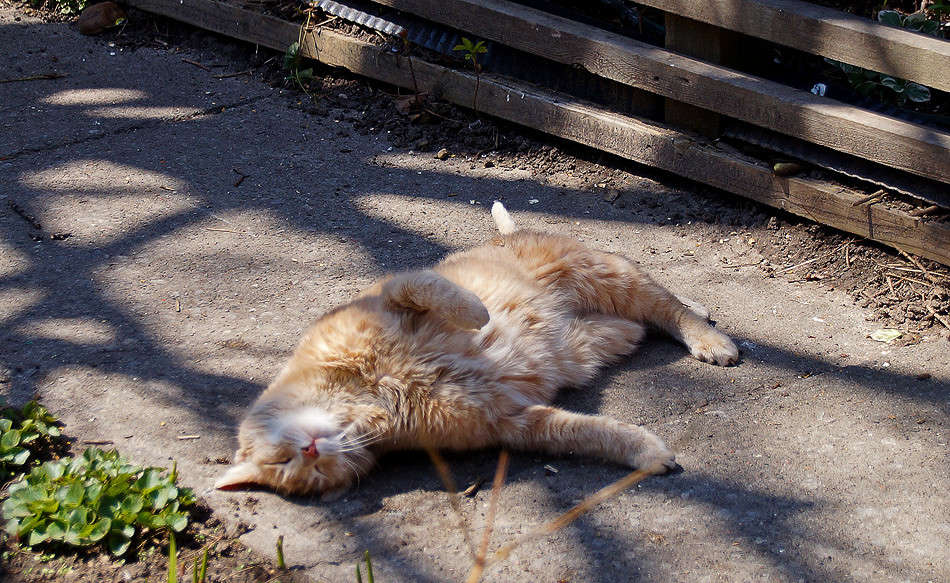 �� ����� ������ �������� ����� �������  �� PhotoGeek.ru #�������� ���