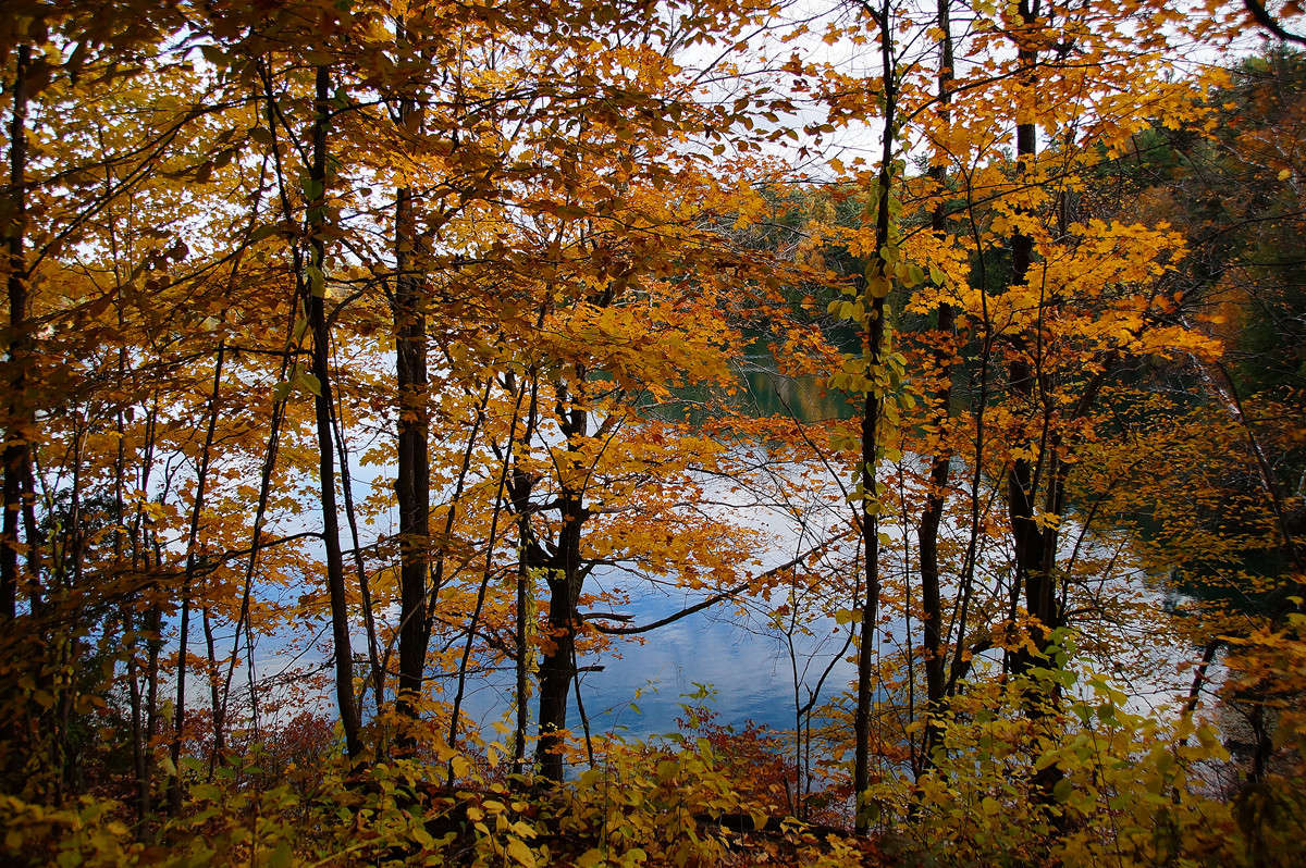 ���������� ����� �������  �� PhotoGeek.ru #������ ��� �������