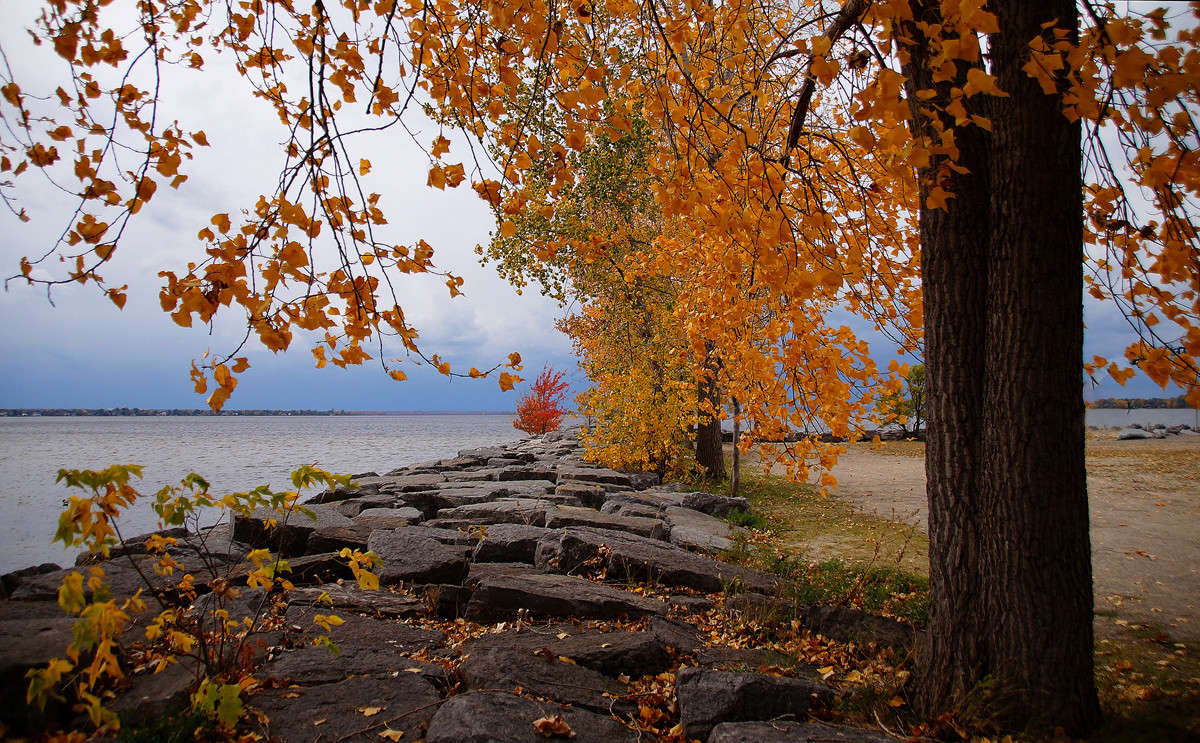 �� ���� ����� �������  �� PhotoGeek.ru #������ ��� �������