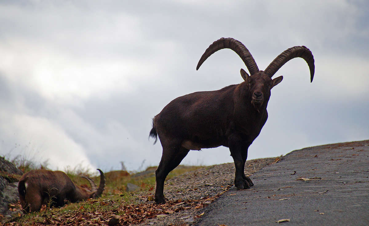 ��������� �������� ����� �������  �� PhotoGeek.ru #�������� ���