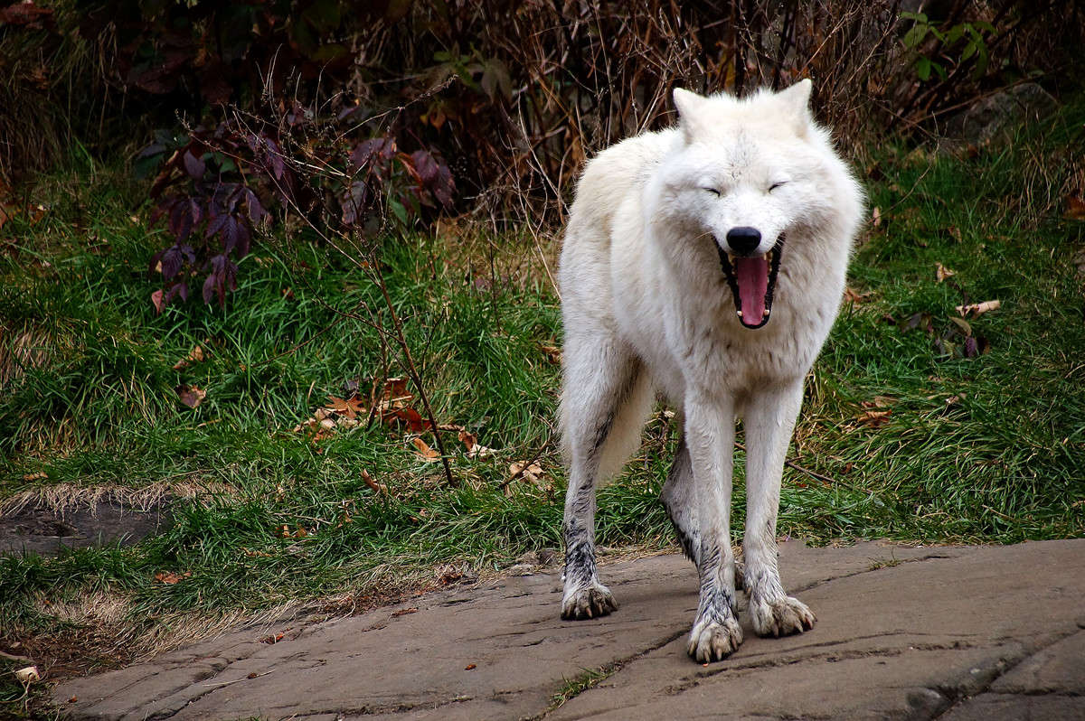 ����� ���� ������ ����� �������  �� PhotoGeek.ru #�������� ���