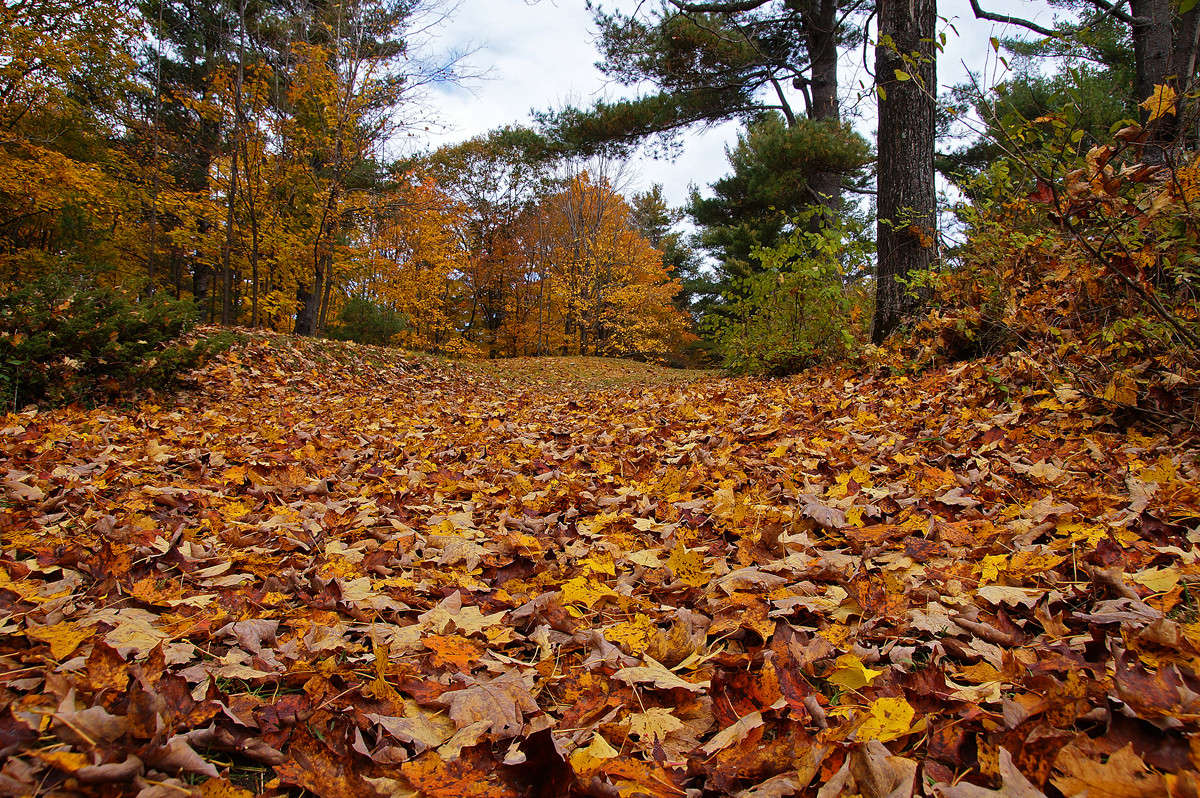 �� ������ � ������� ����� �������  �� PhotoGeek.ru #������ ��� �������