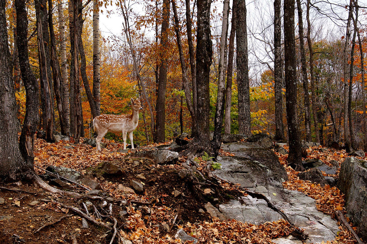 ���� �� ������ ����� �������  �� PhotoGeek.ru #�������� ���