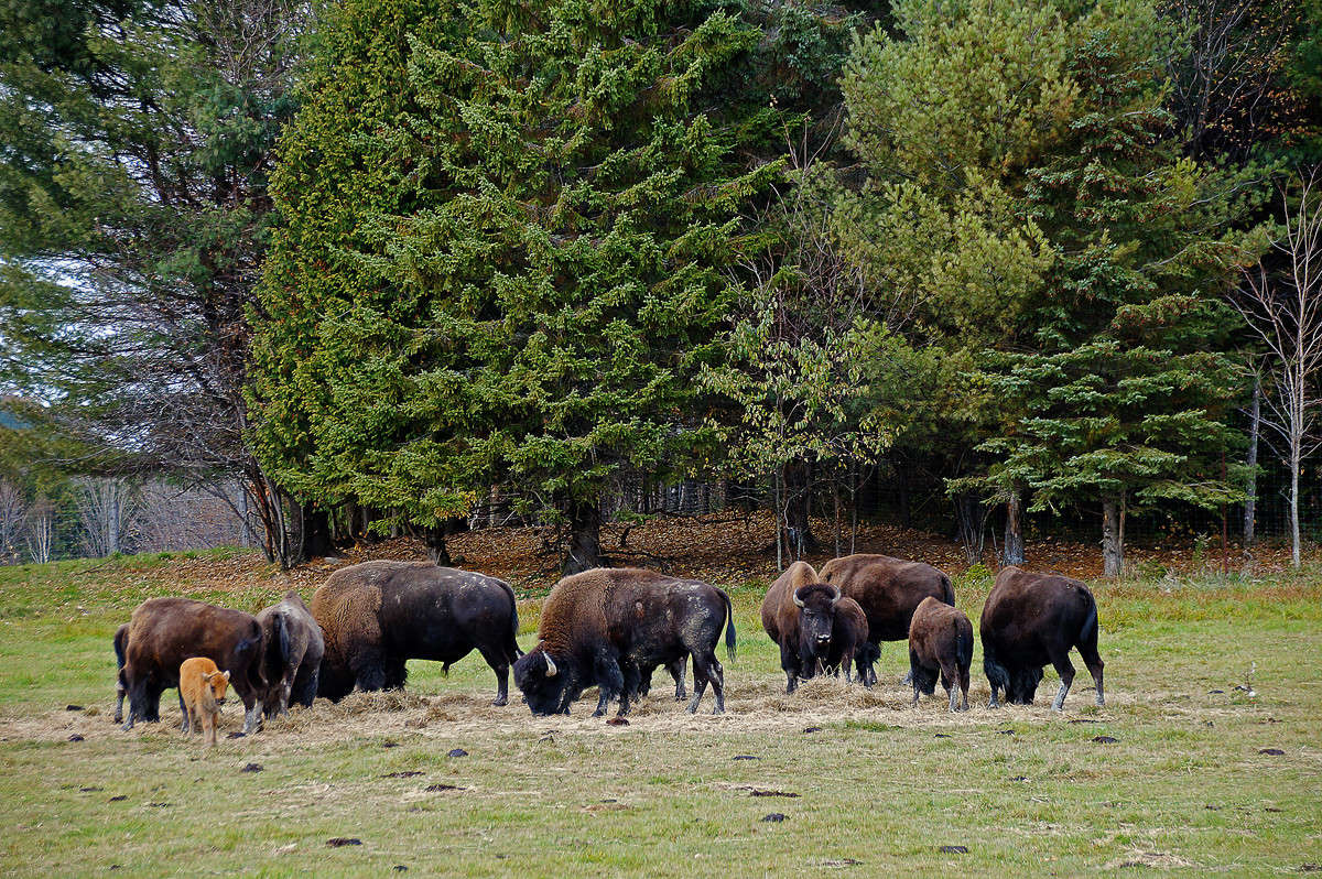 ������ � �������� ������� ����� �������  �� PhotoGeek.ru #�������� ���