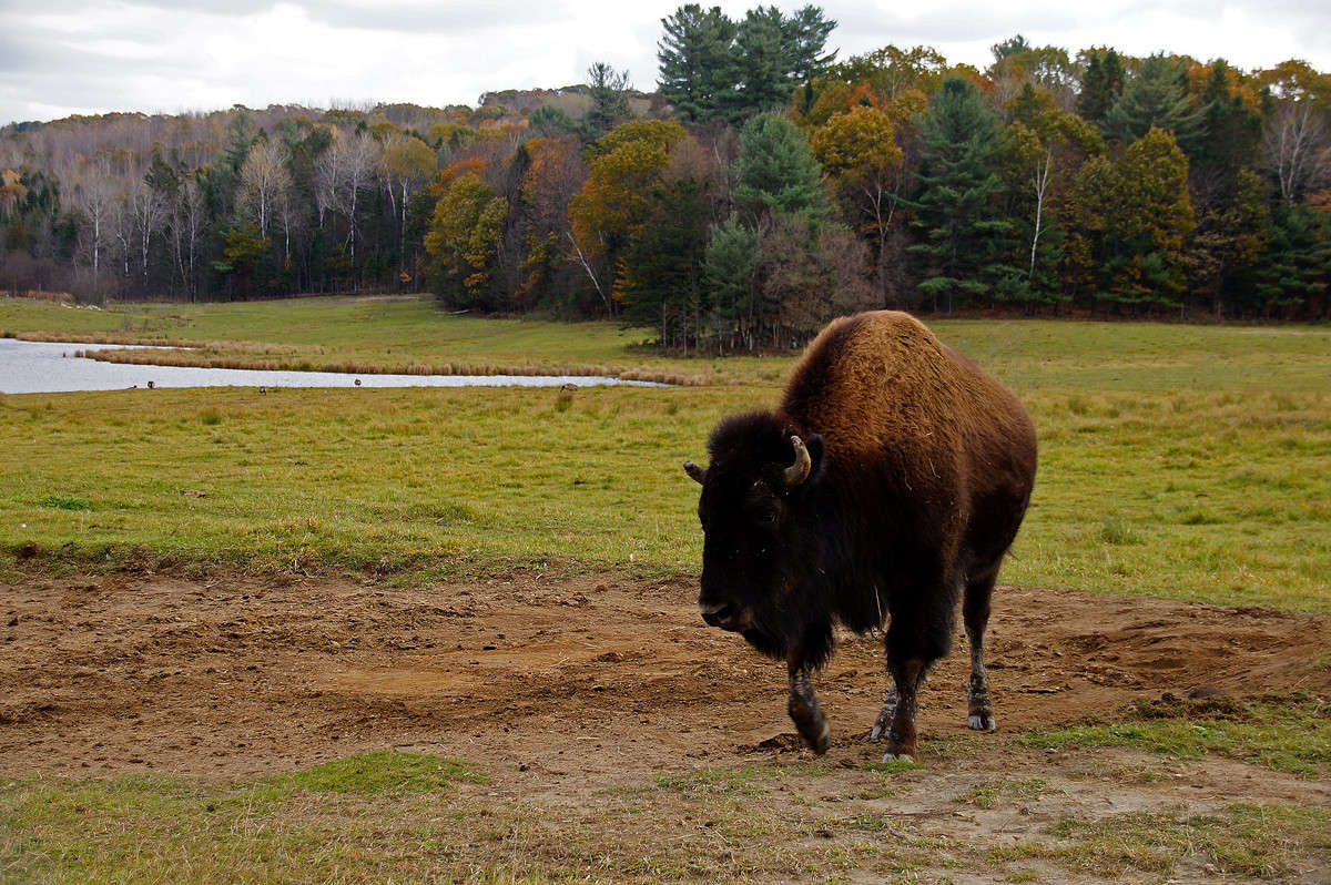 ��������! ������! ����� �������  �� PhotoGeek.ru #�������� ���