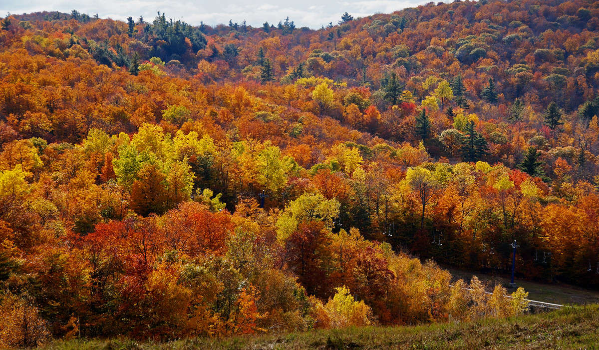 ����������� ������ Fortune ����� �������  �� PhotoGeek.ru #������ ��� �������