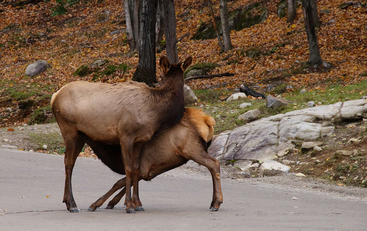 ���������� ����� �������  �� PhotoGeek.ru #�������� ���