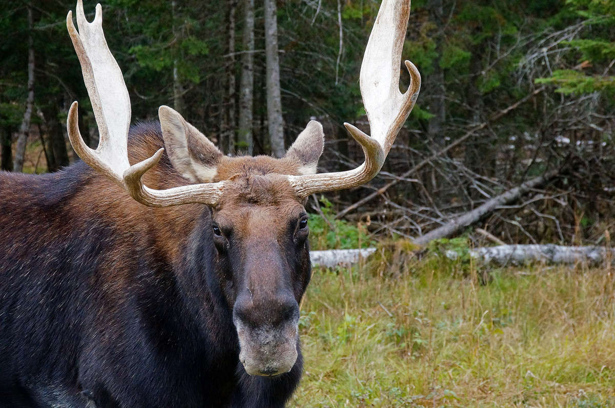 ���� ����� ����� �������  �� PhotoGeek.ru #�������� ���