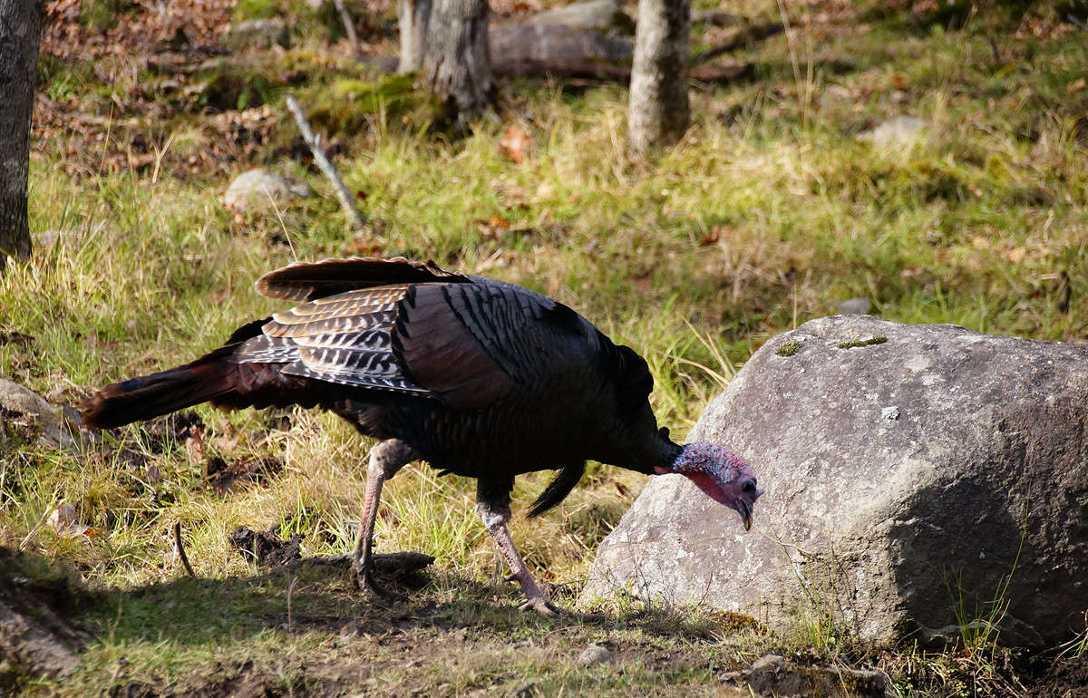 ��������� �������� ����� �������  �� PhotoGeek.ru #�������� ���