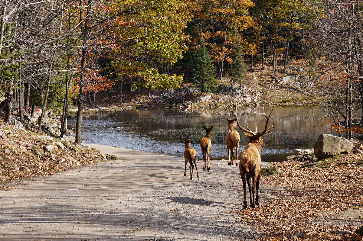 ������ ���� ����� �������  �� PhotoGeek.ru #�������� ��� #������ ��� �������