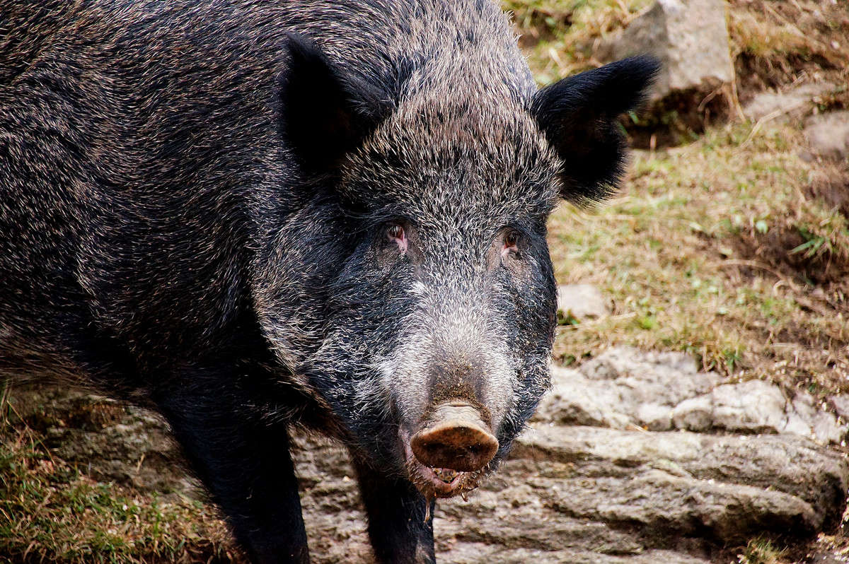 ����� - � � ���� ����! ����� �������  �� PhotoGeek.ru #�������� ���