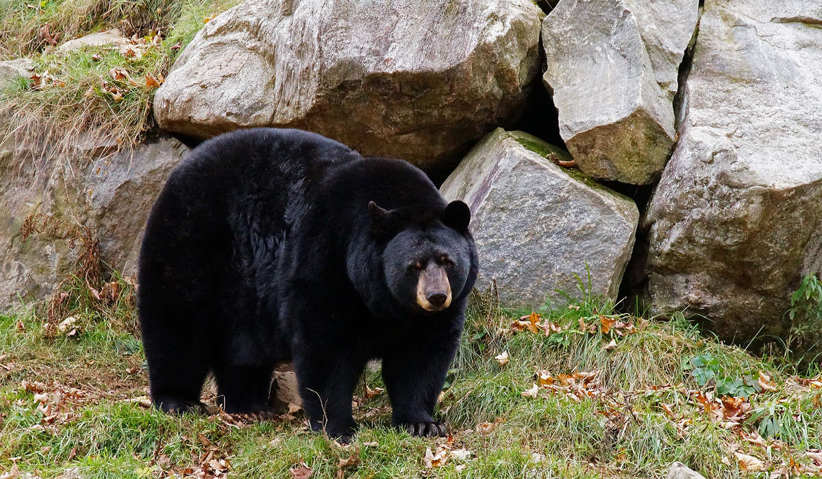 ������ ������ ����� �������  �� PhotoGeek.ru #�������� ���