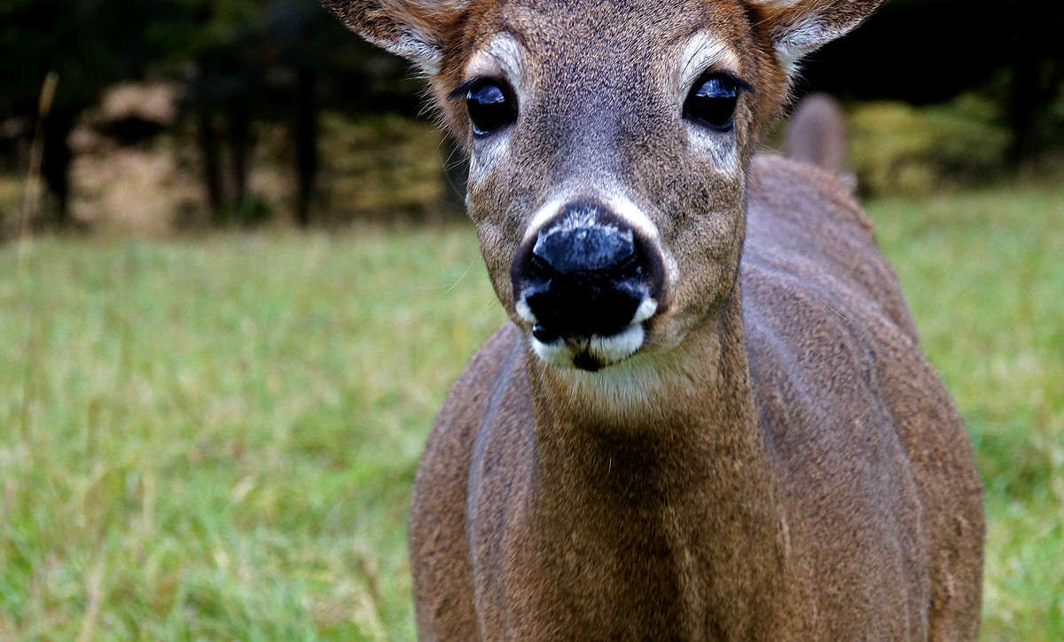 ����� � ����� ����� �������  �� PhotoGeek.ru #�������� ���